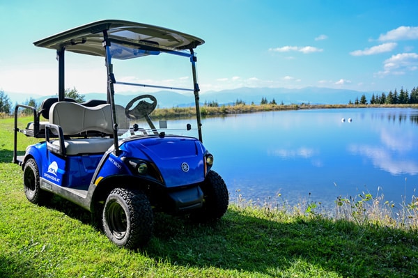 E-Buggy Simonhöhe und ein Teich im Hintergrund