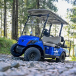 E-Buggy Simonhöhe im Wald