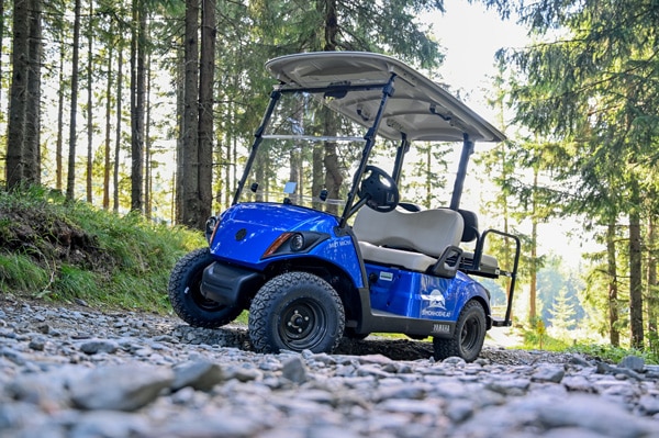 Wald-Buggy-Verleih 2 E-Buggy Simonhöhe im Wald