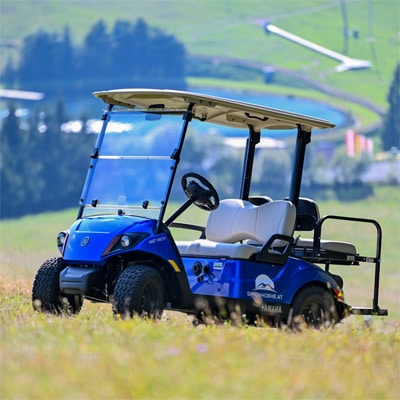 Simonhöhe im Sommer 6 Ein E-Buggy auf der Simonhöhe