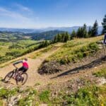 Mountainbike-Trail auf der Simonhöhe
