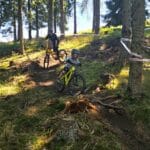 Bildnachweise 9 Singletrail Mückä für Enduro-Spezialisten im Bikepark Simonhöhe